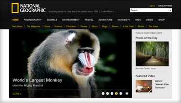 短信狂轰滥炸软件